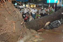 Aumentan muertos por tormenta Kai Tak en Vietnam 