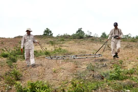 La detección y extinción de bombas y minas remanentes después de las guerras en la provincia central de Quang Tri (Fuente:VNA)