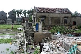 Tifón Haima deja 19 muertos en Viet Nam 