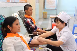 En desarrollo campaña vietnamita de donación de sangre 