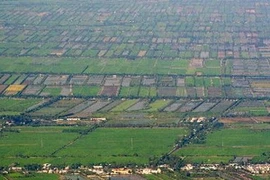 Realizan cita sobre planificación Delta del Mekong 