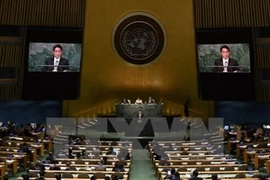 La novena Conferencia de Revisión de las Partes del Tratado de No Proliferación de Armas Nucleares, en Nueva York. (Fuente: VNA)
