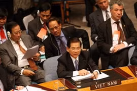 Aboga Viet Nam por desarme nuclear