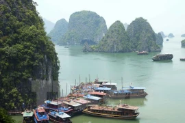 Ha Long entre las 15 increíbles formaciones rocosas 