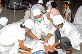 Universidades vietnamitas y estadounidenses fortalecen cooperación 