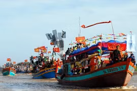Organizan ceremonia en honor a ballena azul en Thanh Hoa 