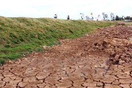 Sequías en Ninh Thuan (Fuente: VNA)