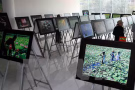 Foto de ilustración (Fuente: VNA)