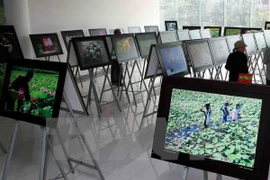 Foto de ilustración (Fuente: VNA)