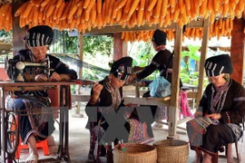 Al visitar la comuna Ban Hon en Sapa, los turistas podrán explotar la vida de los residentes locales (Fuente: VNA)