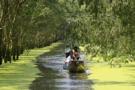 Parque Nacional de Tram Chim en temporada de inundaciones (Fuente: VNA)