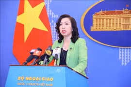 Vietnam solicita cooperación de otros países en emisión de visados para nuevos pasaportes