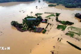 En la provincia de Tuyen Quang. (Fuente: VNA)