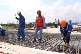 Laborantes en la provincia de Phu Yen (Fuente: VNA)