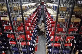 En una empresa en la India (Fuente: AFP/VNA)