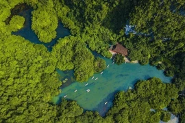 10 años del reconocimiento del Complejo Paisajístico de Trang An como patrimonio mundial