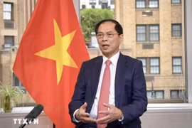 El viceprimer ministro y ministro de Relaciones Exteriores Bui Thanh Son. (Fuente: VNA)