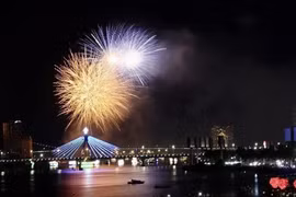 En DIFF 2023 (Fuente:VNA)