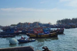 Ba Ria-Vung Tau intensifica esfuerzos para combatir pesca ilegal (Fuente: VNA)
