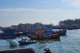 Ba Ria-Vung Tau intensifica esfuerzos para combatir pesca ilegal (Fuente: VNA)