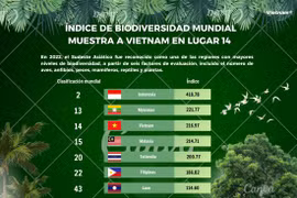 Índice de biodiversidad mundial muestra a Vietnam en lugar 14 