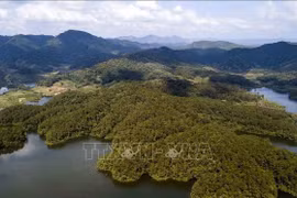 En la provincia de Bac Giang. (Fuente; VNA)