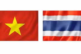 Foto de ilustración (Fuente: Vietnamplus)