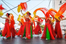 Organizan el tercer Día de Vietnam en Eslovaquia. (Fuente: VNA)