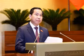 El jefe de la Comisión de Finanzas y Presupuesto del Parlamento vietnamita, Le Quang Manh, en el evento (Fuente: VNA)