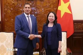 La vicepresidenta de Vietnam Vo Thi Anh Xuan recibió en octubre pasado al embajador de Suecia en VIetnam, Johan Ndisi. (Fuente: VNA)