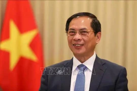 El viceprimer ministro y canciller vietnamita, Bui Thanh Son. (Fuente: VNA)