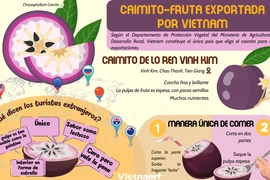 Camito, fruta exportada por Vietnam