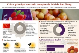 China, principal mercado receptor de lichi de Bac Giang