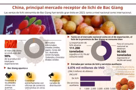 China, principal mercado receptor de lichi de Bac Giang