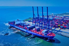 Vietnam agiliza desarrollo de flota naviera nacional