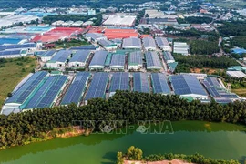 Señales positivas del mercado inmobiliario industrial en Vietnam
