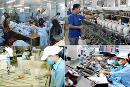 Desarrollan recursos humanos de alta calidad en región del Sudeste de Vietnam