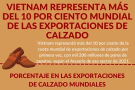 Vietnam representa más del 10 por ciento mundial de las exportaciones de calzado 