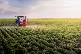 Delta del Mekong mejora competitividad de productos agrícolas