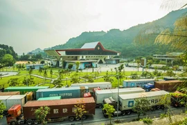 Vibrante comercio Vietnam - China a principios de 2024