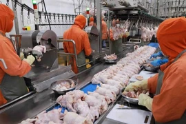 Potencial de exportación de productos alimenticios tradicionales vietnamitas