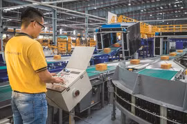 Florecen actividades del mercado postal en Vietnam
