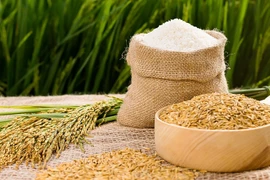 Oportunidades para alcanzar meta de exportaciones de arroz de Vietnam en 2023