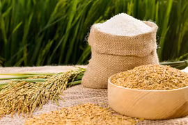 Oportunidades para alcanzar meta de exportaciones de arroz de Vietnam en 2023