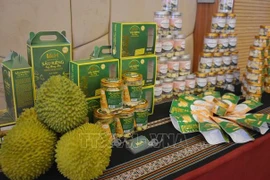 Buscan mejorar marcas de especialidades del Delta del Mekong en Vietnam