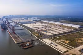 Buscan impulsar transformación digital en servicios logísticos en Delta del Mekong
