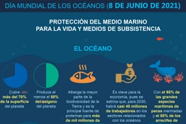 Día Mundial de los Océanos