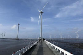 Planificación energética VIII de Vietnam y su meta de emisiones netas cero