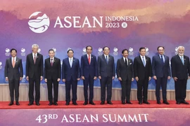 Vietnam fomenta integración internacional con “diplomacia de bambú”