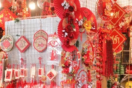 Bullicioso mercado de adornos del Tet en Ciudad Ho Chi Minh